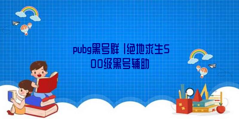 「pubg黑号群」|绝地求生500级黑号辅助